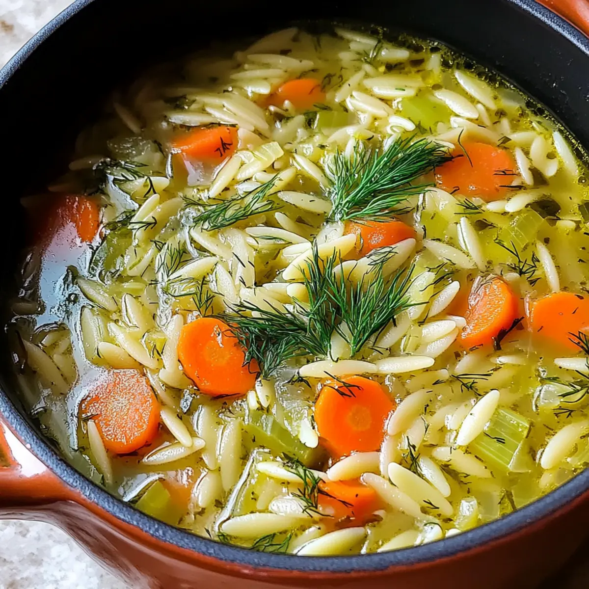 Orzo, Lauch und Dill Suppe – Schnell und Köstlich